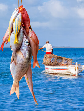 360_F_578445161_PD1MOpyETXdCjN2pCTkLRCjbwDk5C92o